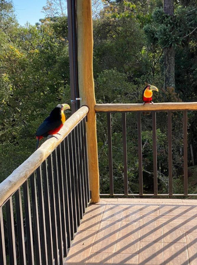 Casa Bela Vista Villa Campos do Jordao Ngoại thất bức ảnh